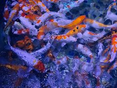 -正佳极地海洋世界