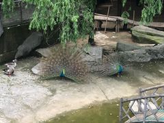 -南昌动物园