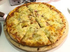 -百好乐宠物友好餐厅(朝外大街店)