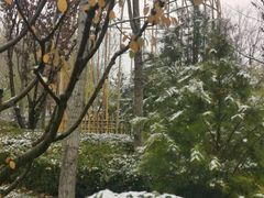 -南宫五洲植物乐园