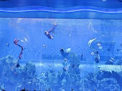 -石家庄极地海洋世界