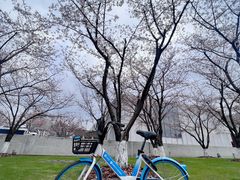 -龙美术馆(西岸馆)