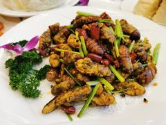 -毛毛饭店(大连湾街店)