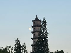 -江心屿景区
