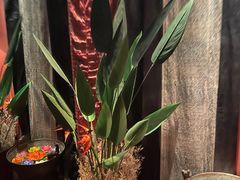 -花马天堂云南餐厅 Lost Heaven(外滩店)