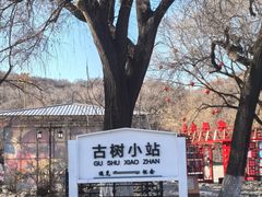 -北山公园