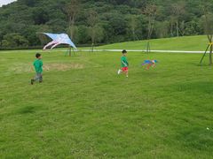 -风云岭森林公园