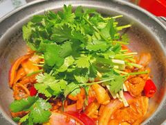 -禄婶鸡煲·打边炉