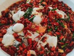 水煮鲈鱼-邱大妈水煮(龙山店)