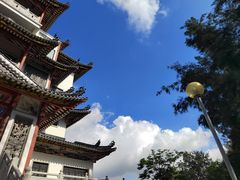 -广东花都湖国家湿地公园