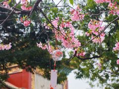 -宝墨园景区