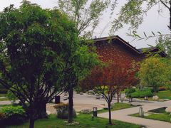 -思念果岭悦温泉