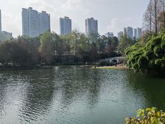 -重庆彩云湖湿地公园