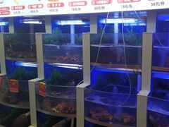 -七欣天香辣蟹火锅(扬州望月路店)