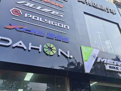 -道路口单车爱瓦士dahon大行