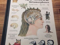 -PAGEONE(北京坊店)