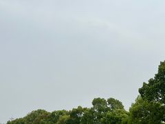 -雨花胜境
