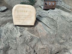 -中国第四纪冰川遗迹陈列馆