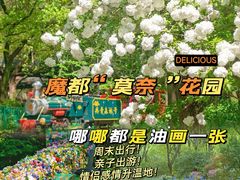 -上海共青森林公园
