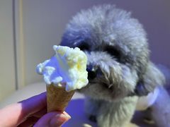 -CREAM STORY意大利手工冰淇淋&甜品(万象前海店)