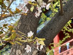-大钟寺古钟博物馆
