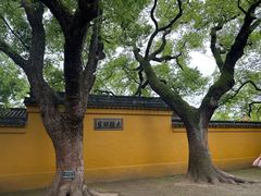 -西园戒幢律寺