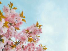 -山东大学(软件园校区)