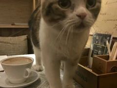 -隅cafe(傅厚岗店)