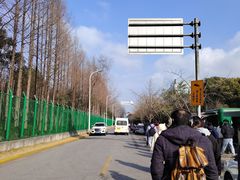 -外高桥保税区南(地铁站)