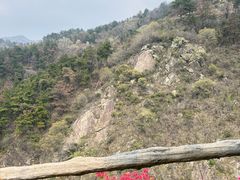 -木兰云雾山