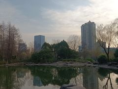 -新虹桥中心花园