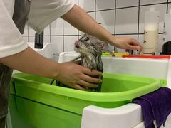 -BABIT巴比特宠物(MOMOPARK店)