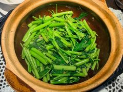 -熠盛粤味·顺德桑拿鸡(永康路店)