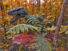 -森波拉奇妙世界