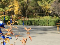 -玲珑塔公园