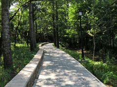 -白水寺森林公园