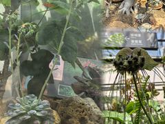 -国家植物园南园