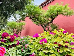 -北京市劳动人民文化宫