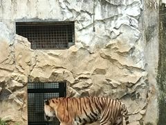 -黔灵山公园