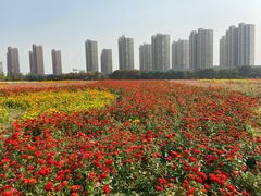 -映月湖中央公园