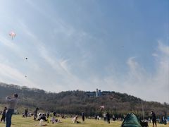 -羊山湖公园