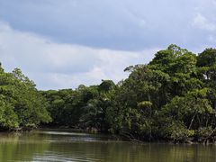 -东寨港红树林旅游区