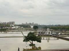 -艾米稻香小镇