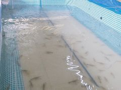 -小象钓虾·营地烧烤(洛溪店)