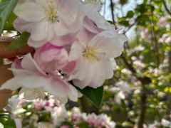 -元大都城垣遗址公园