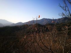 -北京鹫峰国家森林公园