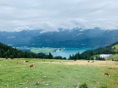 -沙夫山