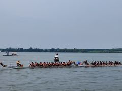 -丁香湖公园