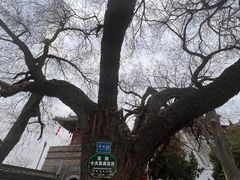 -洛阳周公庙博物馆