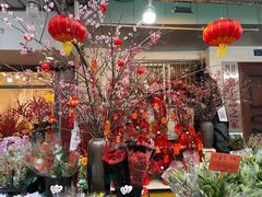 -溪岸路花鸟市场
